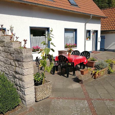Ardea Alba Apartment Wunstorf Exterior photo