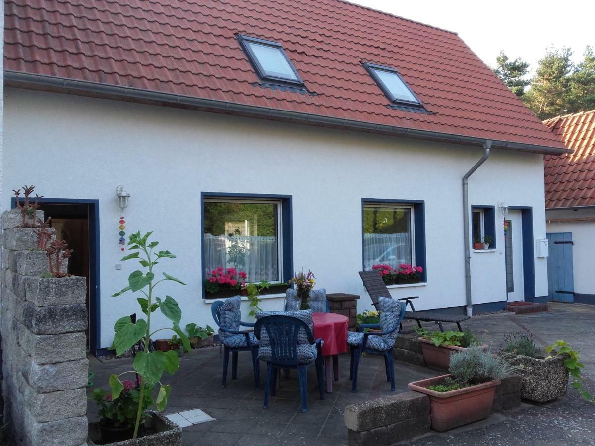 Ardea Alba Apartment Wunstorf Exterior photo